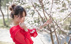 直播:温碧霞福利放送中